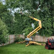 Best Arborist Consultation Services  in Dayton, OH